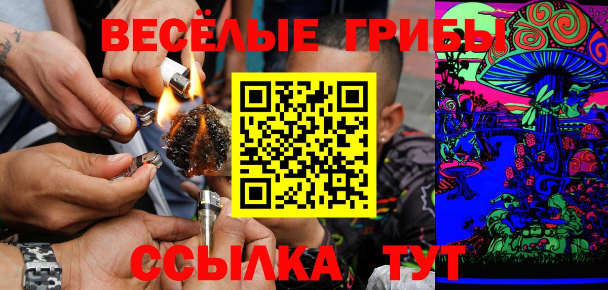 Псилоцибиновые грибы Psilocybe  Вход с VPN  купить наркоту  Заводоуковск 